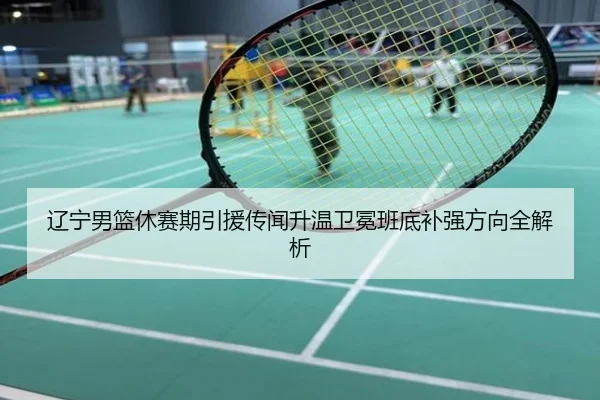 辽宁男篮休赛期引援传闻升温卫冕班底补强方向全解析